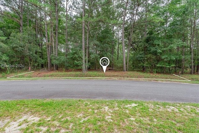 Listing photo 3 for 19 Hasell Pointe Rd, Okatie SC 29909