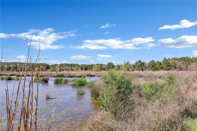 1625 Hunters Loop S, Hardeeville SC, 29927 land for sale