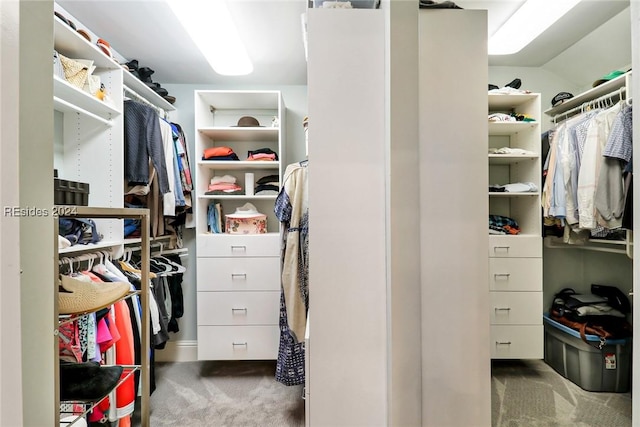 spacious closet featuring dark colored carpet