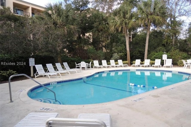 view of pool with a patio