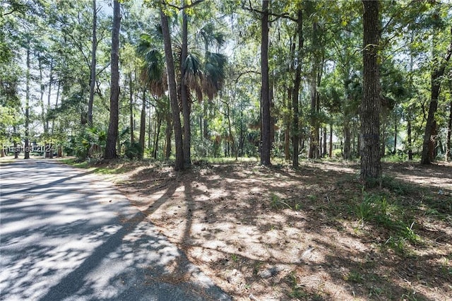 Listing photo 2 for 14 Port Psge, Daufuskie Island SC 29915