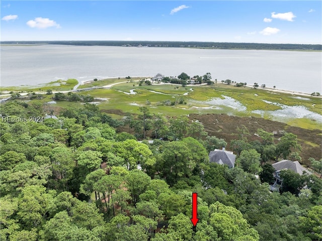 14 Port Psge, Daufuskie Island SC, 29915 land for sale