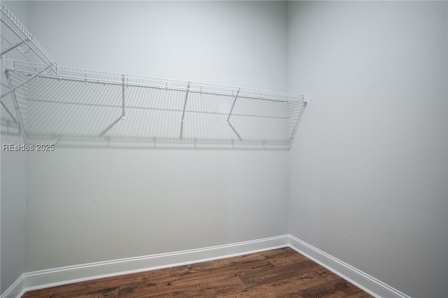 walk in closet featuring dark wood-type flooring