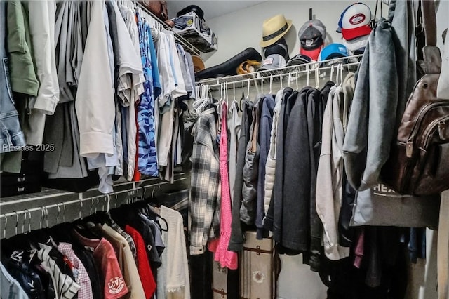 view of spacious closet