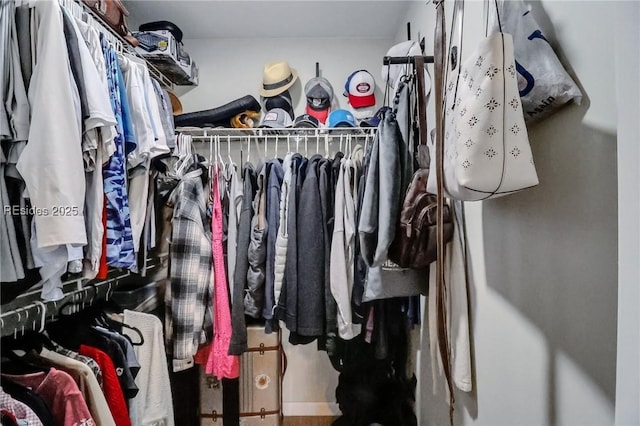 view of spacious closet