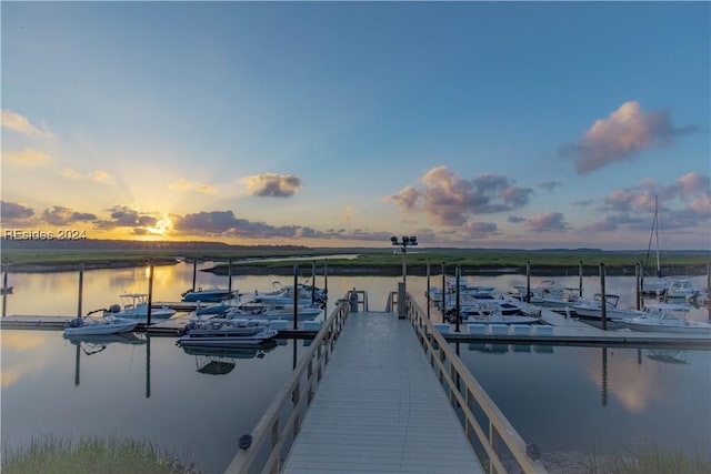 dock area featuring a water view