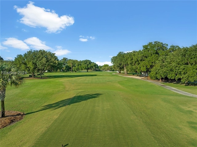 view of community featuring a lawn