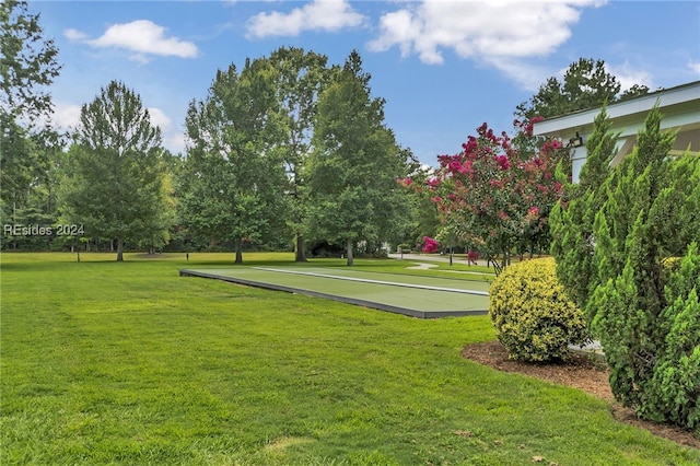 view of home's community with a lawn