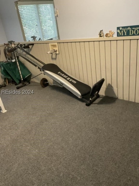 exercise room featuring carpet flooring