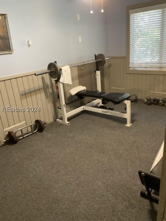 workout room with carpet floors