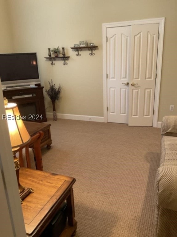 living area featuring carpet flooring