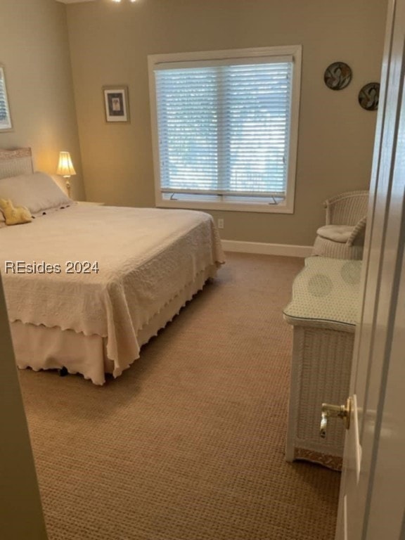 bedroom featuring carpet flooring