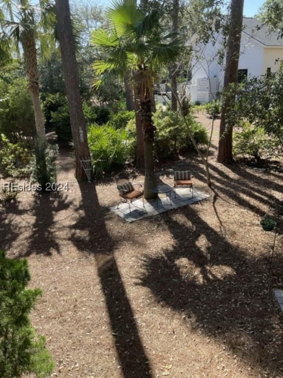 view of yard with a patio area