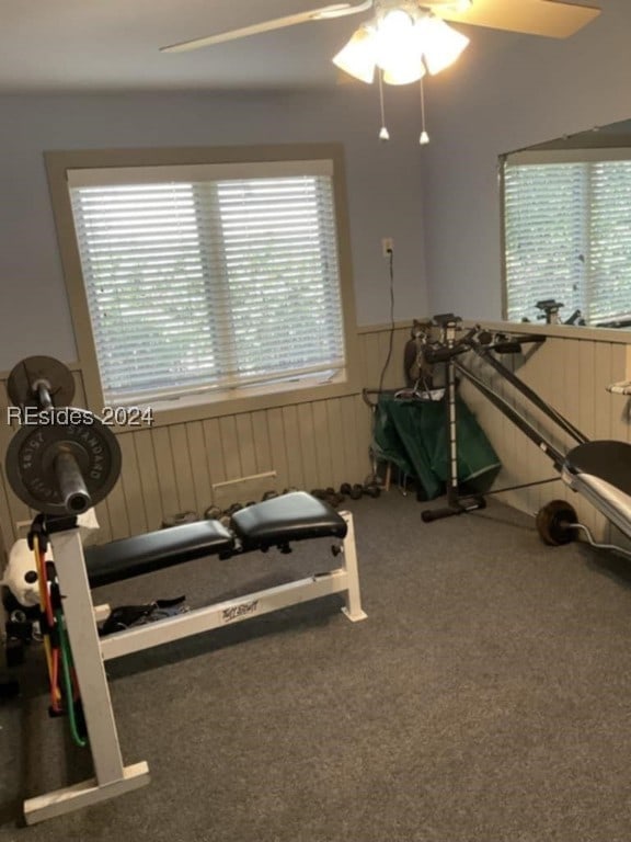 exercise area featuring ceiling fan, a healthy amount of sunlight, and carpet