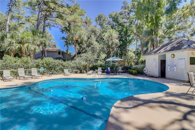 view of pool with a patio