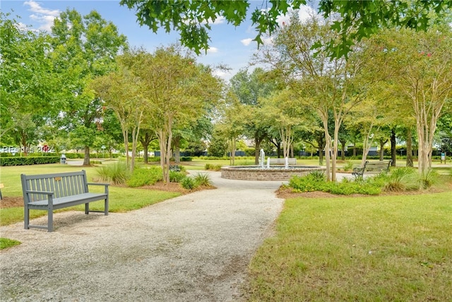 view of community featuring a yard