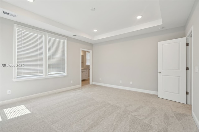 spare room with a raised ceiling and light colored carpet