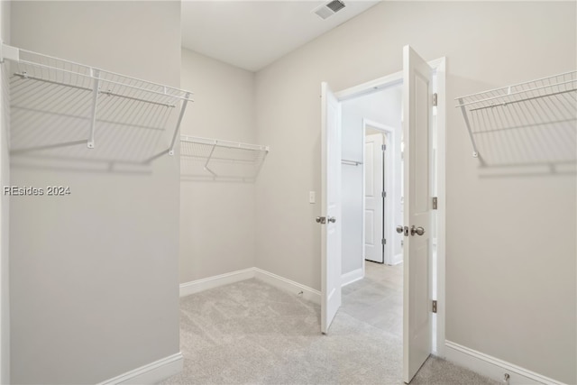 spacious closet featuring light colored carpet