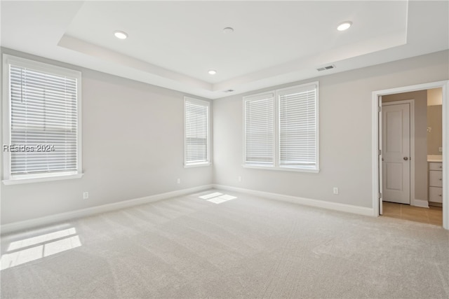 empty room featuring a raised ceiling, plenty of natural light, and light colored carpet