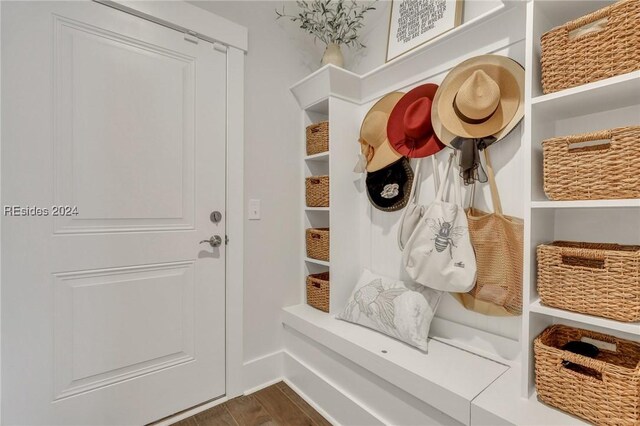 mudroom with dark wood-type flooring