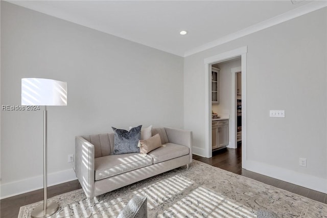 living room featuring crown molding and dark wood-type flooring