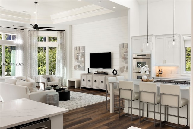 living room with ceiling fan, plenty of natural light, dark hardwood / wood-style floors, and a raised ceiling