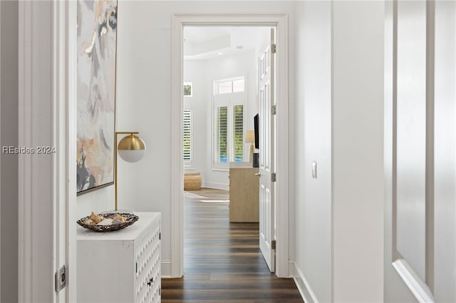 hallway featuring dark wood-type flooring