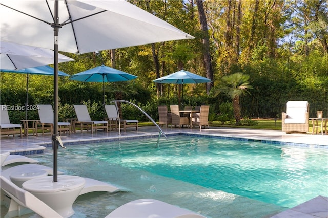 view of pool with a patio