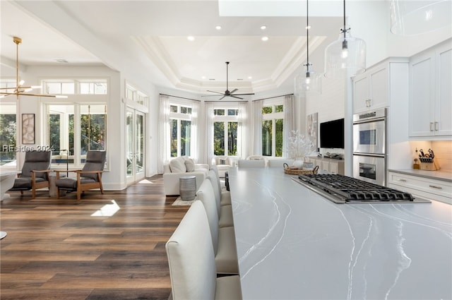 kitchen with pendant lighting, dark wood-type flooring, stainless steel appliances, a tray ceiling, and white cabinets