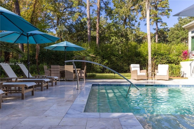 view of swimming pool with a patio area