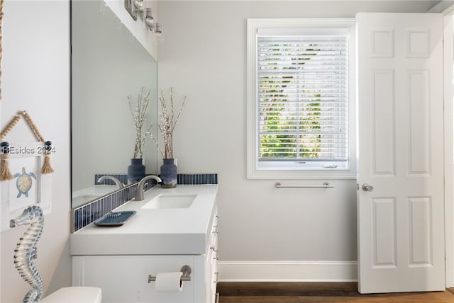 bathroom with hardwood / wood-style flooring, vanity, and a wealth of natural light