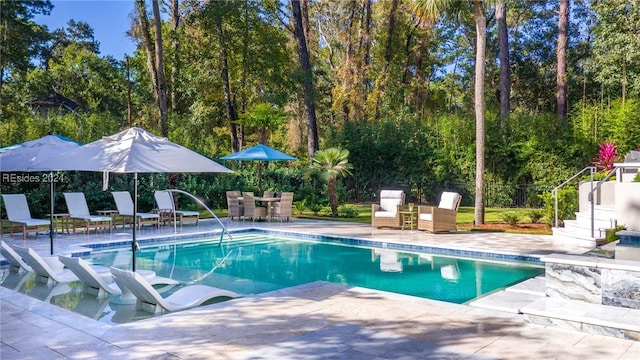 view of swimming pool featuring a patio area