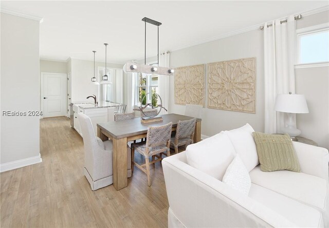 dining area with crown molding and light hardwood / wood-style flooring