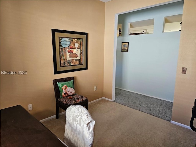 sitting room featuring carpet floors