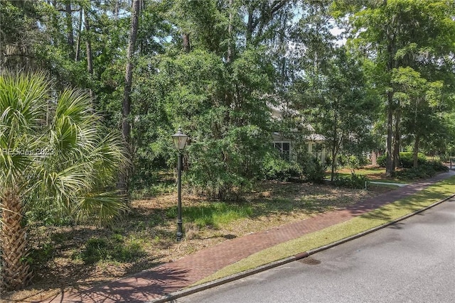 Listing photo 3 for 64 Gilded St, Bluffton SC 29910