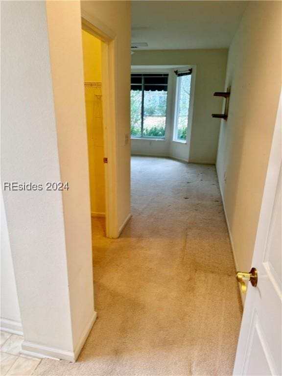 hallway with light carpet