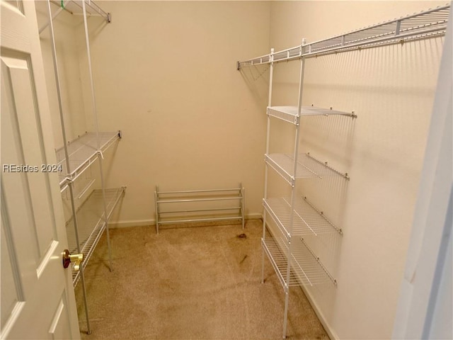 walk in closet with carpet