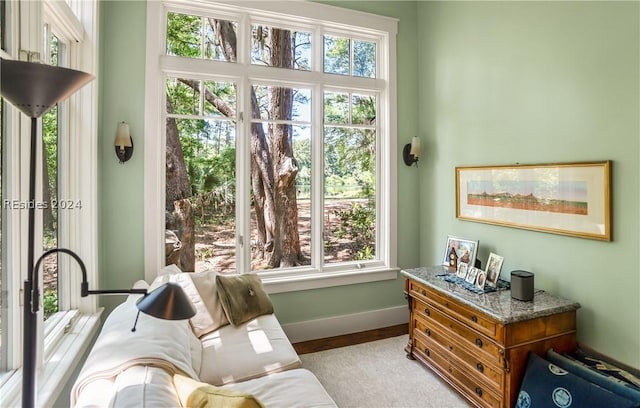 living area featuring light hardwood / wood-style floors