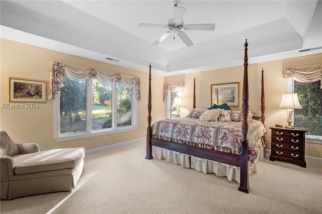 bedroom featuring a raised ceiling, carpet, and ceiling fan