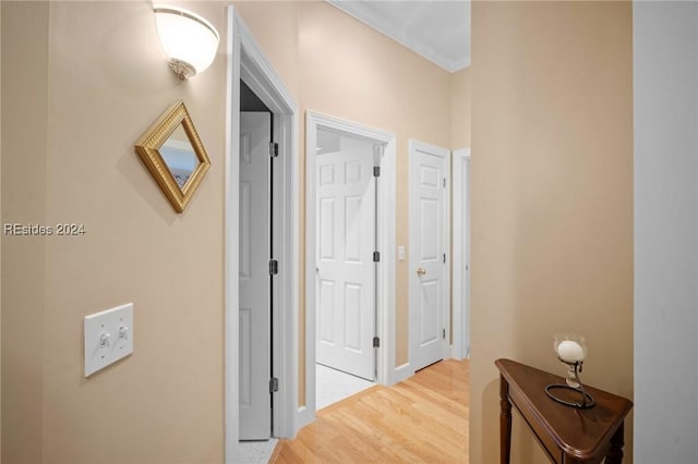 hall featuring light hardwood / wood-style floors