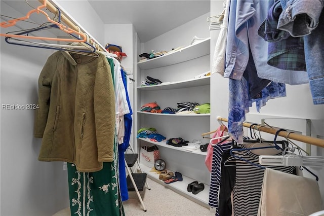 walk in closet with carpet flooring