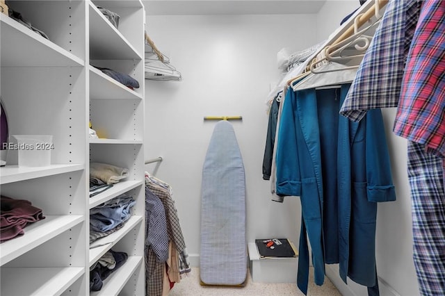 view of spacious closet