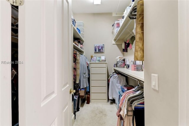 spacious closet featuring light colored carpet