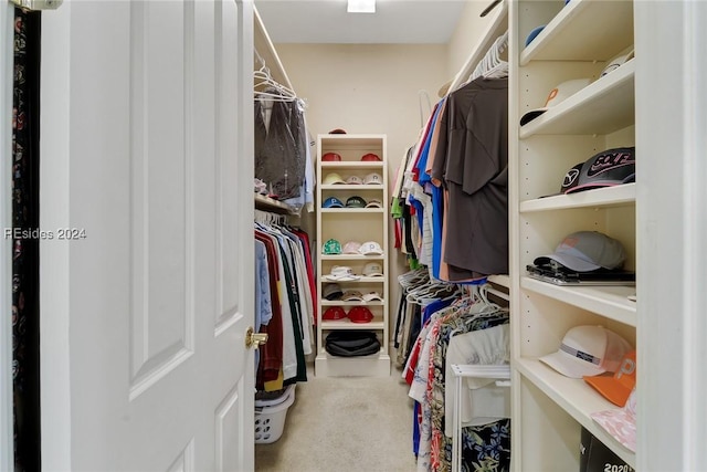 walk in closet featuring carpet flooring