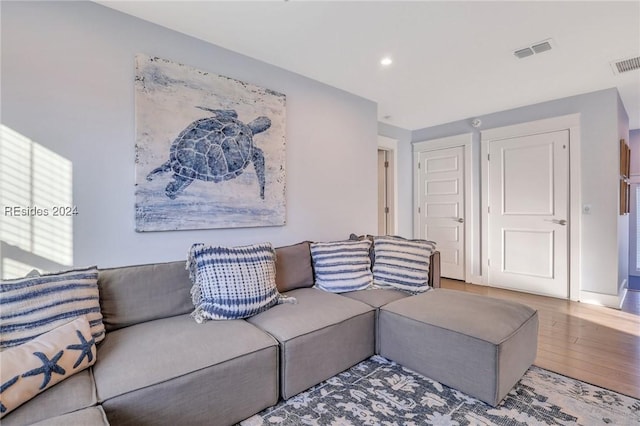 living room featuring hardwood / wood-style floors