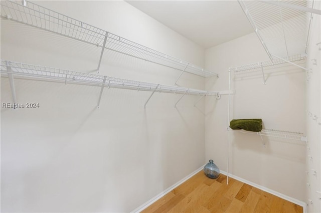 walk in closet featuring hardwood / wood-style floors