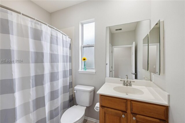 bathroom with vanity, toilet, and a wealth of natural light