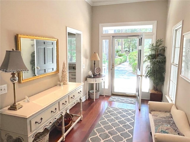 doorway featuring dark hardwood / wood-style floors