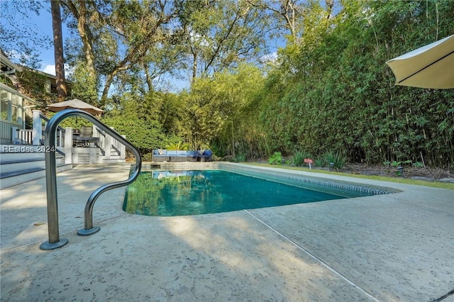 view of pool featuring a patio