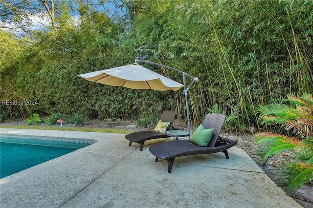 view of swimming pool with a patio area